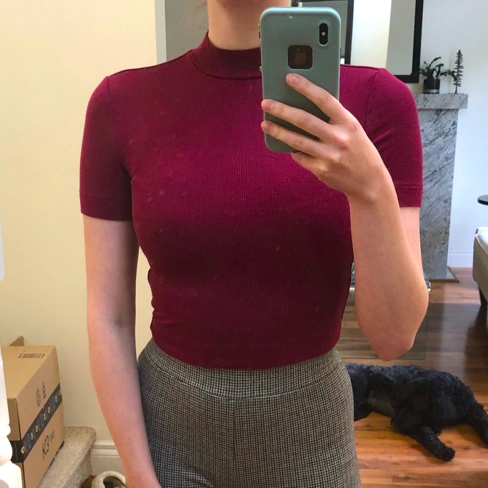 Babaton Aritzia Gonzalo Mockneck Crop Top